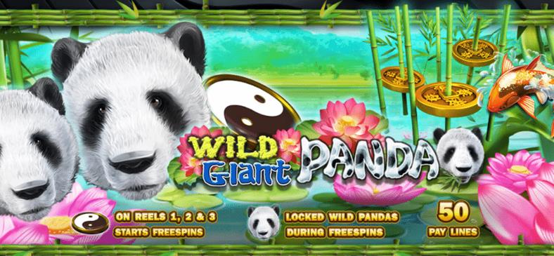 918kiss_Wild_Giant_Panda_2022