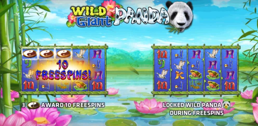 918kiss_Wild_Giant_Panda_2022