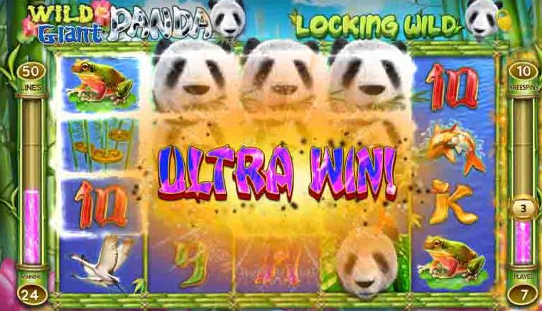 918kiss_Wild_Giant_Panda_Win