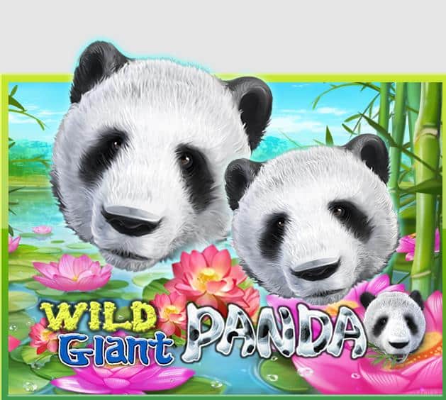 918kiss_Wild_Giant_Panda_รีวิวเกม