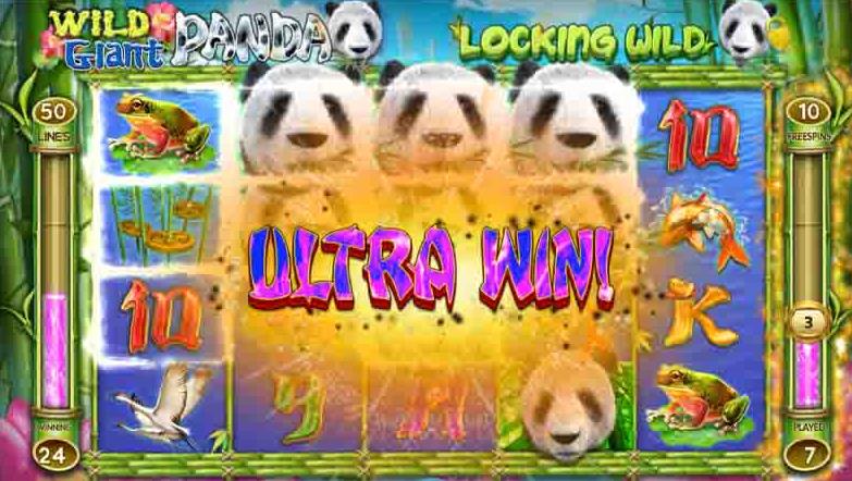 918kiss_Wild_Giant_Panda_เกมสล็อตแตกง่าย